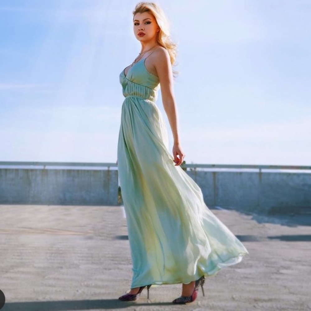 Wayf long  dress. NWT. Xs. Prom. Wedding guest, night out gown